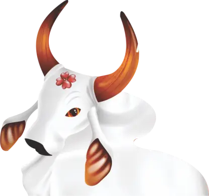 Logo Boi Bumbá Flor do Campo